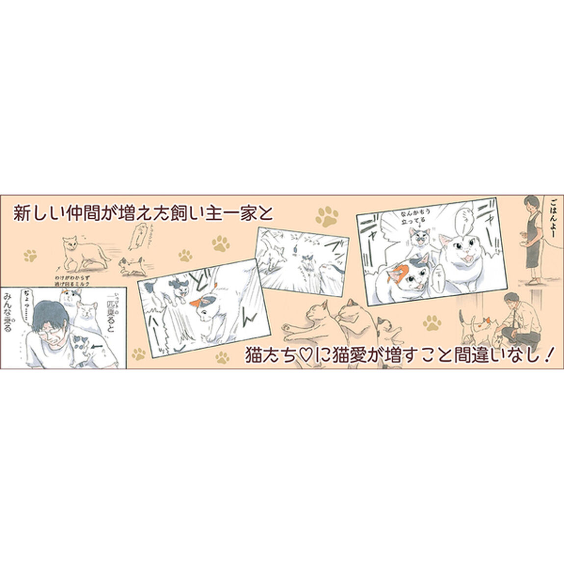 拾い猫のモチャ5 (KITORA)