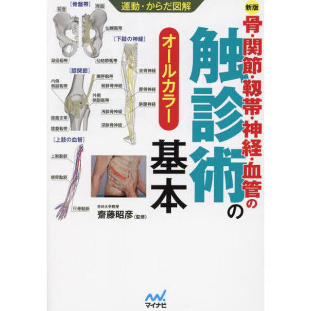 骨・関節・靱帯・神経・血管の触診術の基本　オールカラー「新版」