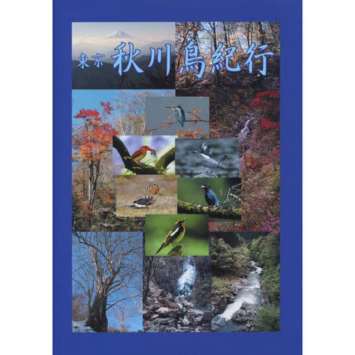 東京秋川鳥紀行