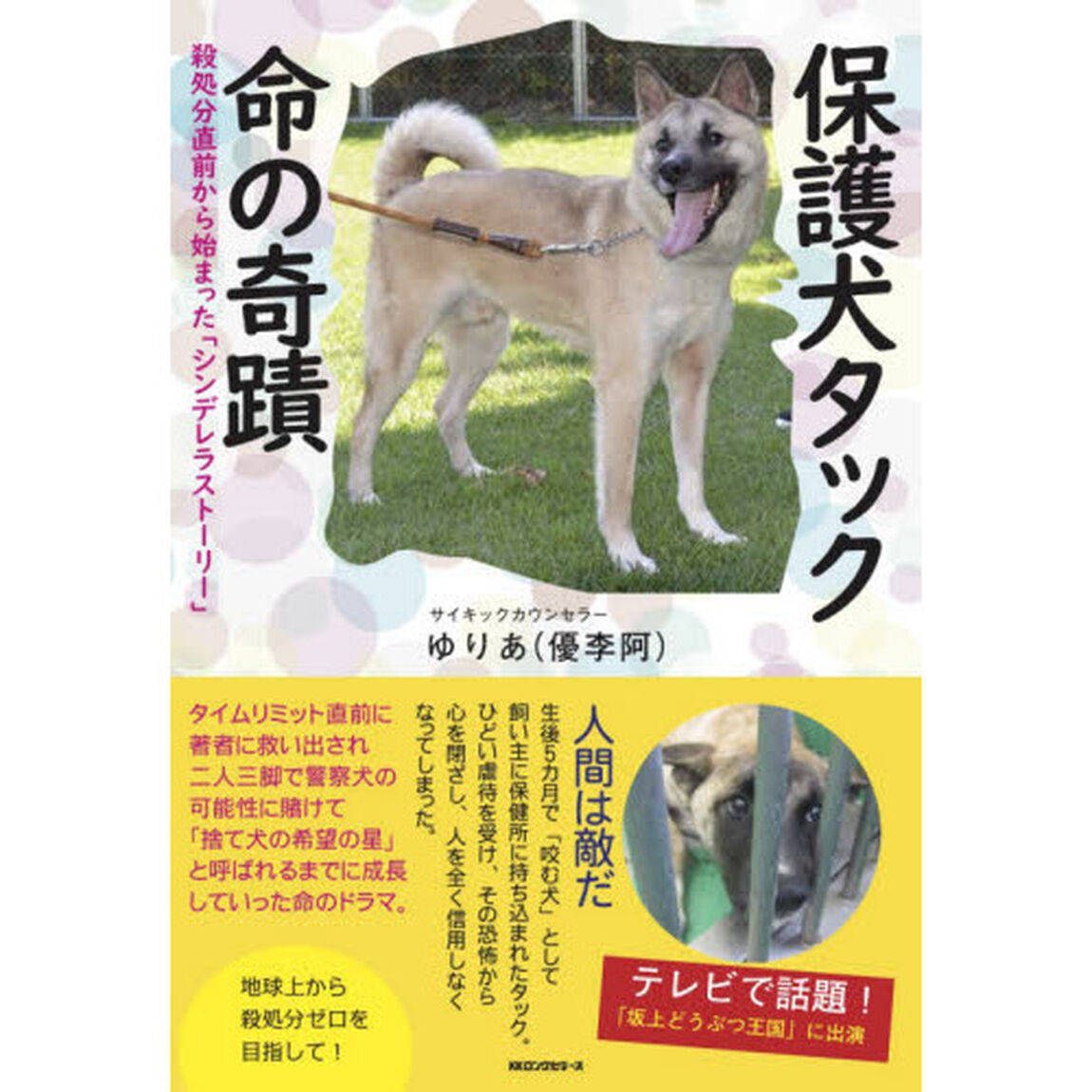 保護犬タック命の奇蹟　殺処分直前から始まった「シンデレラストーリー」