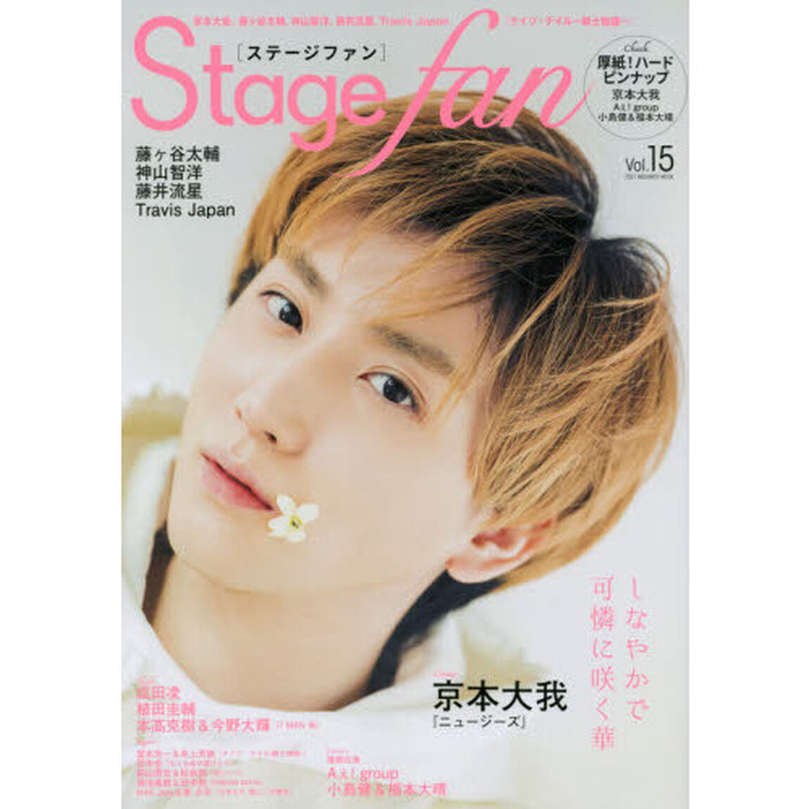 Stagefan Vol.15「京本大我、藤ケ谷太輔、神山智洋、藤井流星、Ｔｒａｖｉｓ　Ｊａｐａｎ、Ａぇ！ｇｒｏｕｐ」