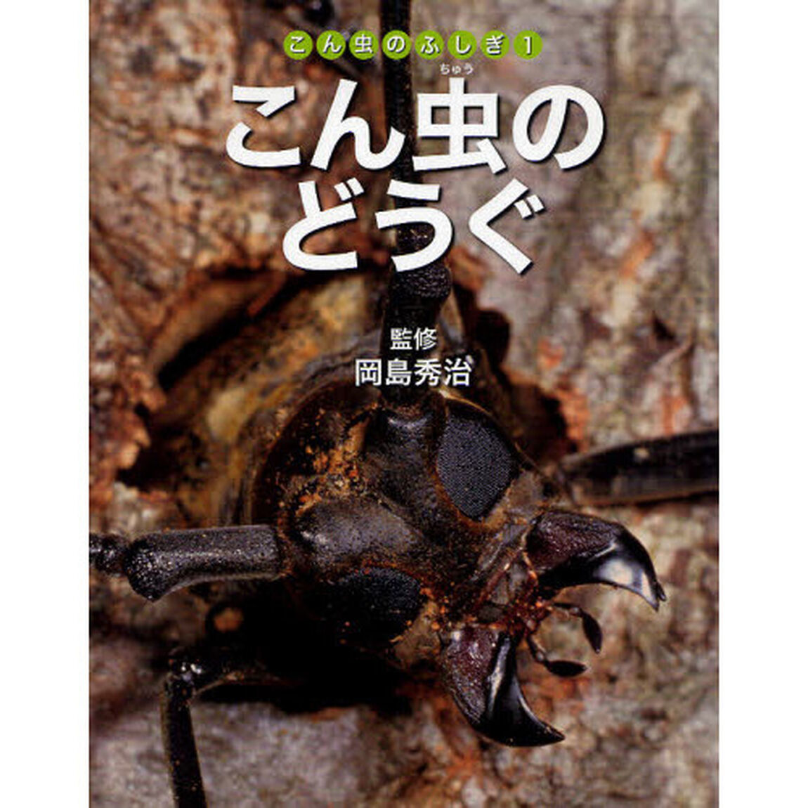 こん虫のふしぎ　１「こん虫のどうぐ」