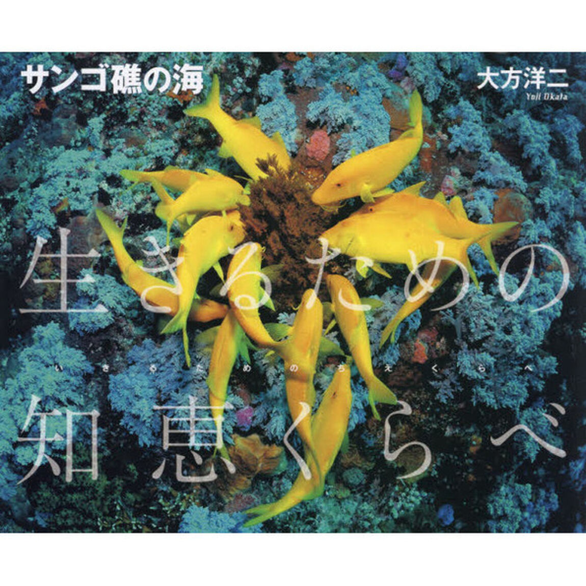 サンゴ礁の海　生きるための知恵くらべ