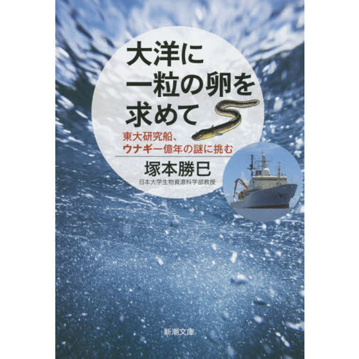 大洋に一粒の卵を求めて　東大研究船、ウナギ一億年の謎に挑む