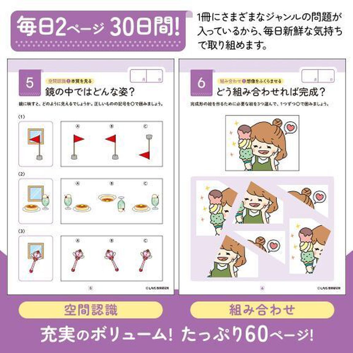 七田式　大人の知力ドリル　右脳