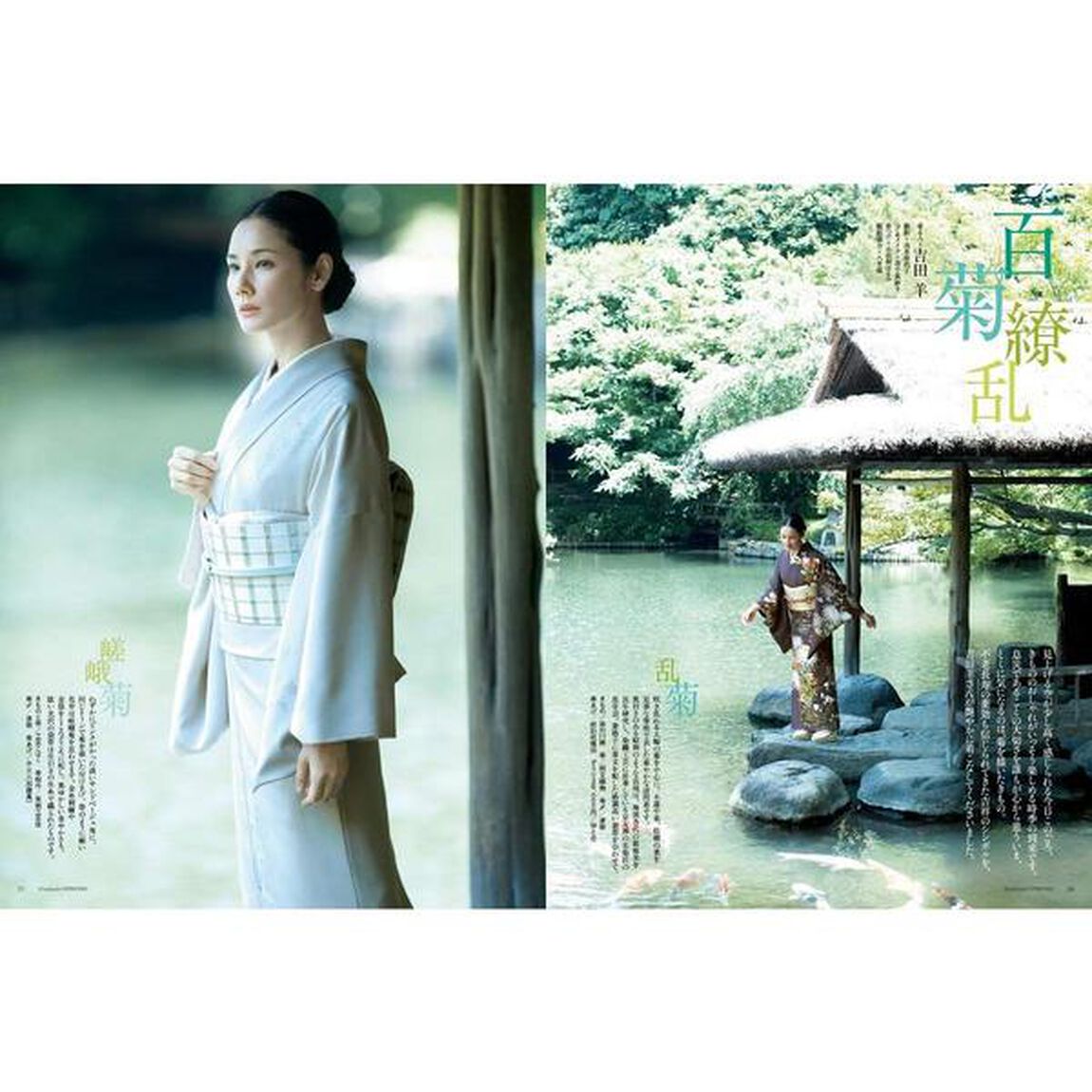 美しいキモノ 2020年 秋号 &times; 「尚雅堂」南天朱印帖&京友禅 朱印帖ケース 特別セット