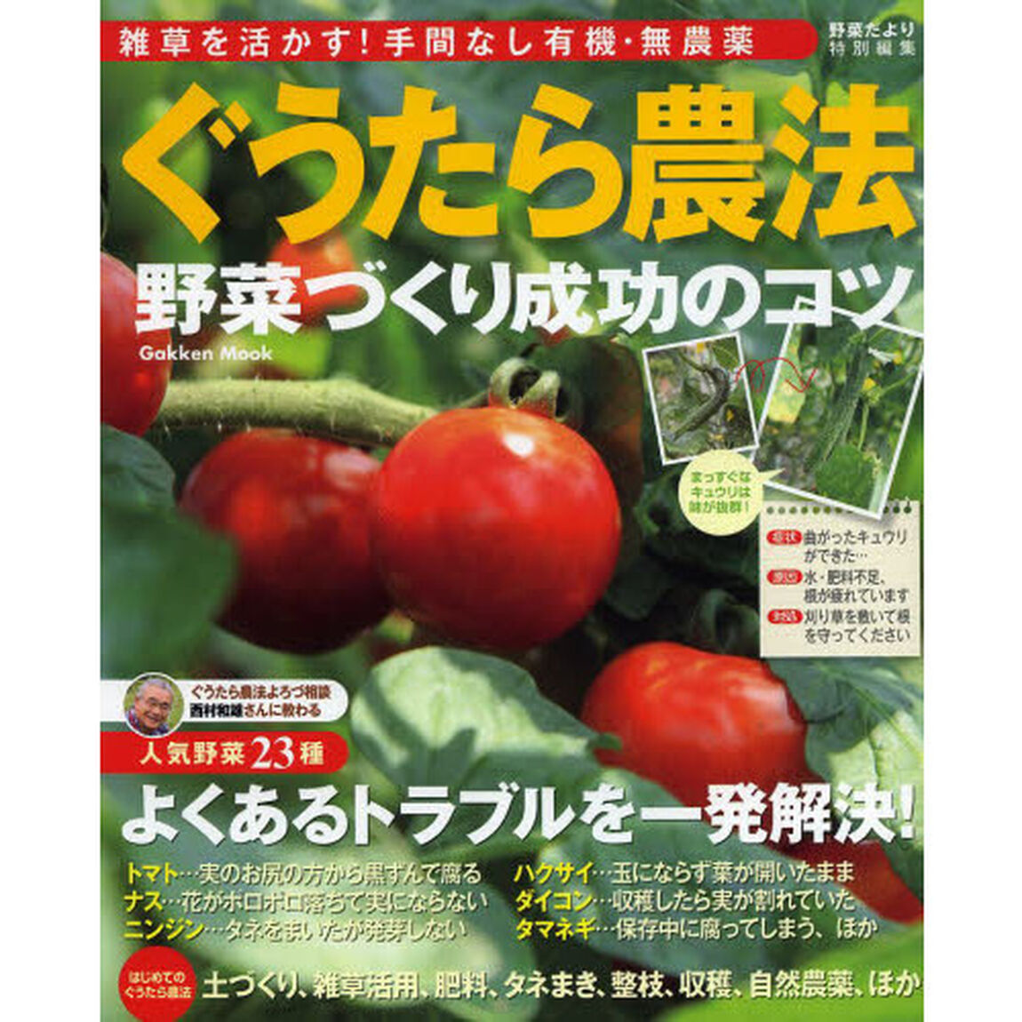 ぐうたら農法野菜づくり成功のコツ　雑草を活かす！手間なし有機・無農薬