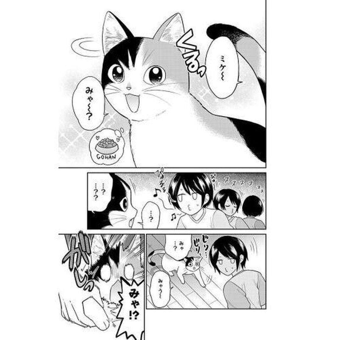 はたらく細胞猫　１