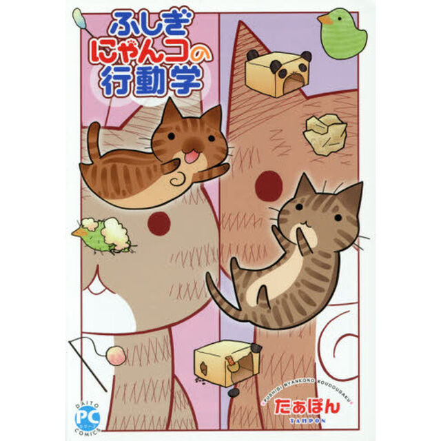 ふしぎにゃんコの行動学