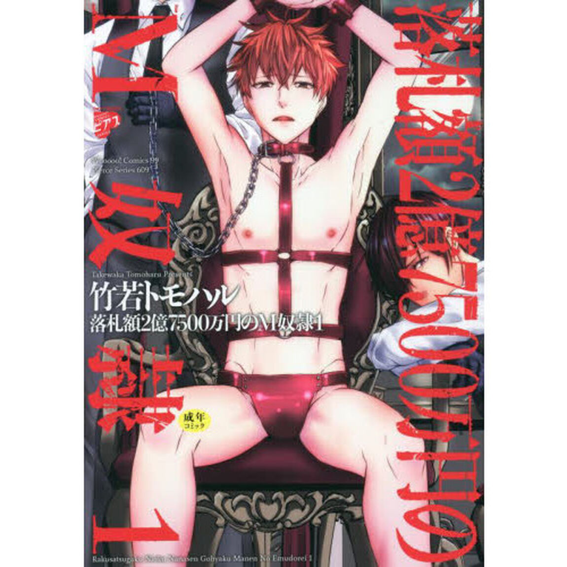 落札額２億７５００万円のＭ奴隷　　　１