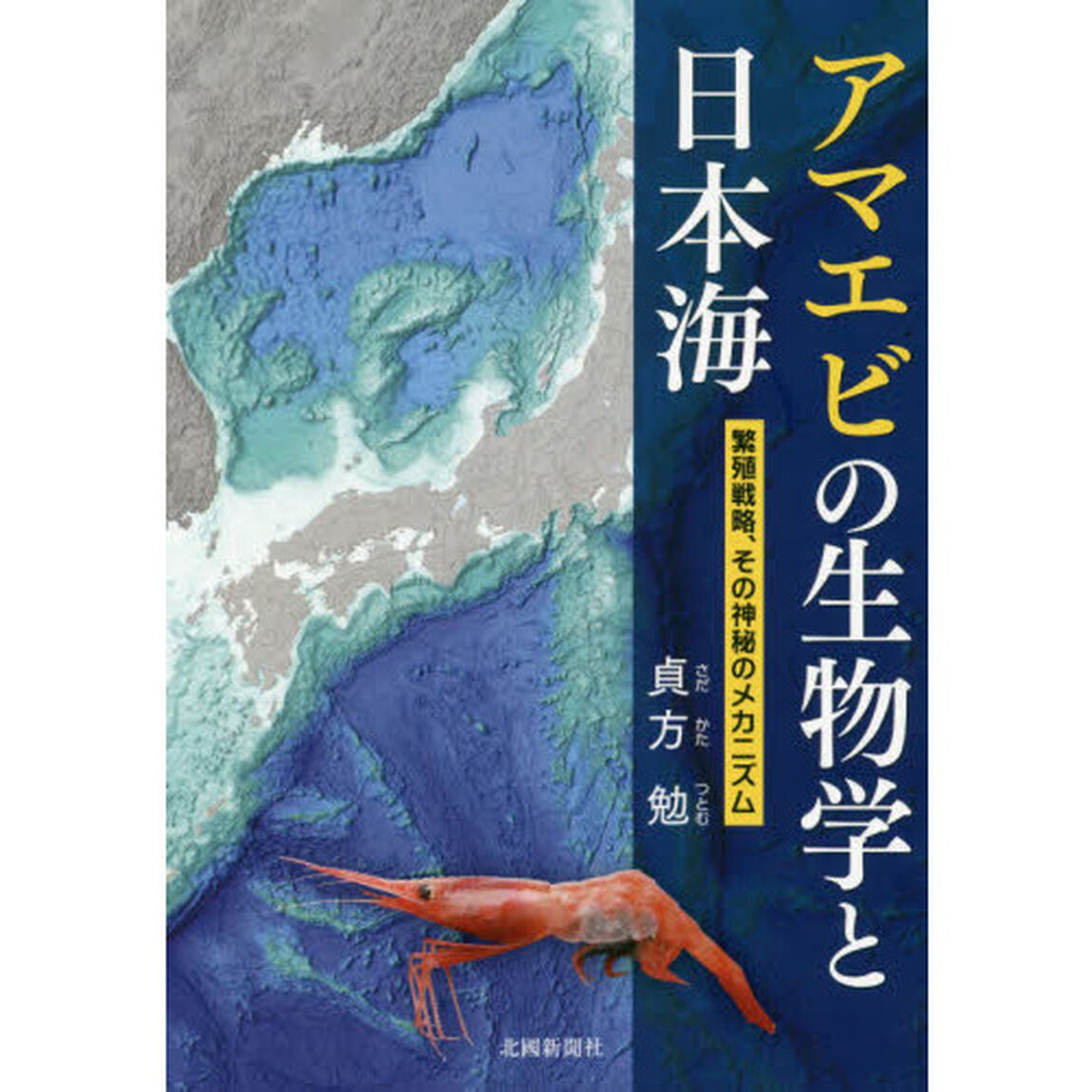 アマエビの生物学と日本海　繁殖戦略、その神秘のメカニズム