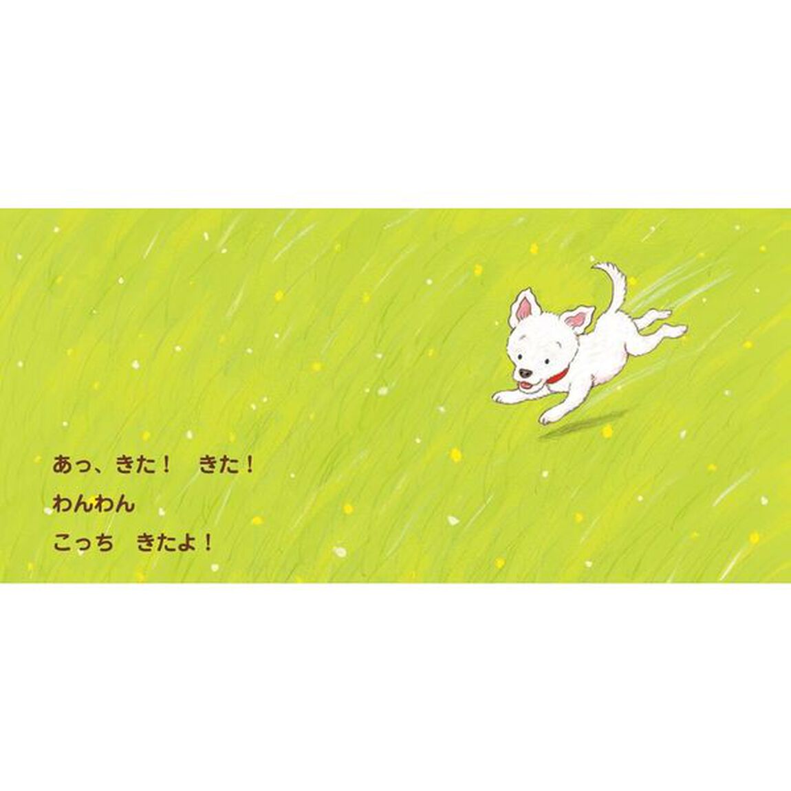 わんわんばあ！