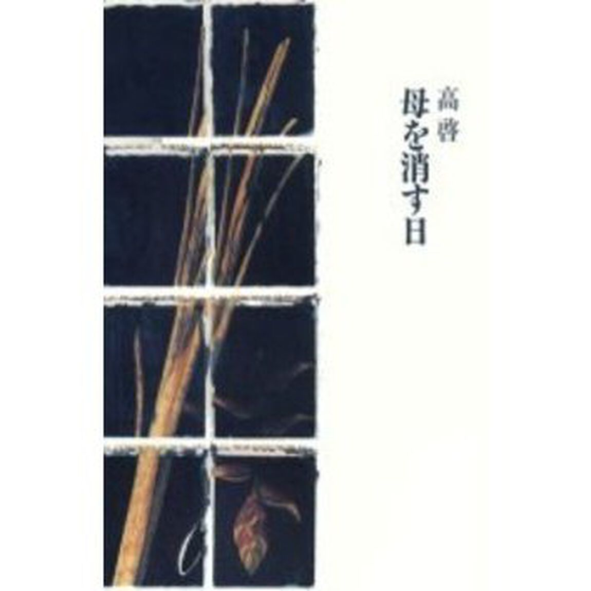 母を消す日