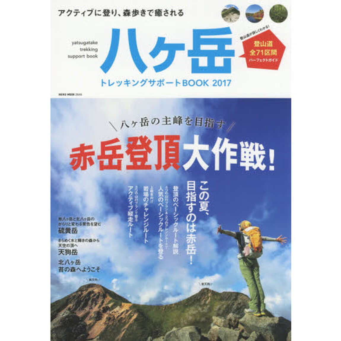 八ケ岳トレッキングサポートＢＯＯＫ　２０１７「アクティブに登り、森歩きで癒される★登山道全７１区間パーフェクトガイド」