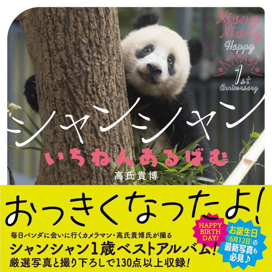 シャンシャン　いちねんあるばむ　特典付き