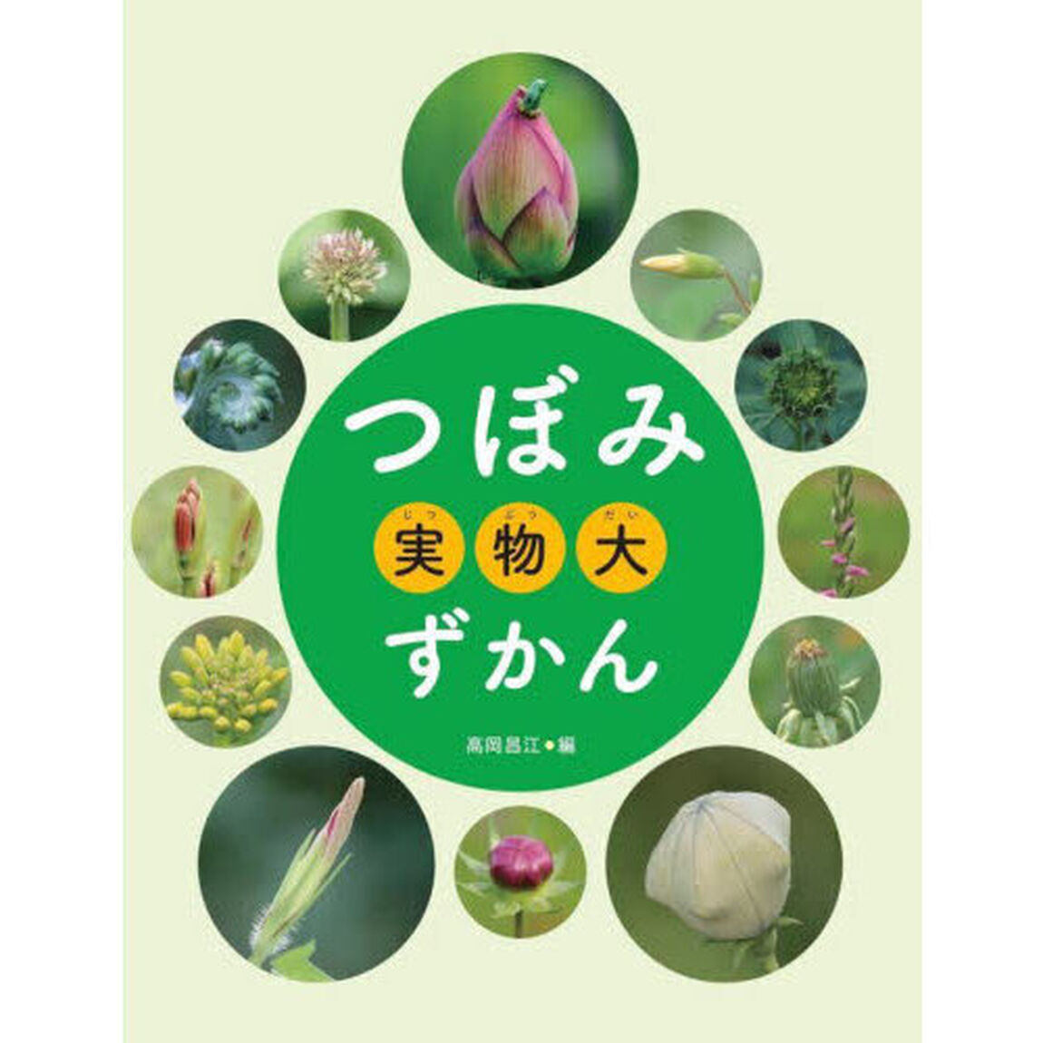 つぼみ実物大ずかん