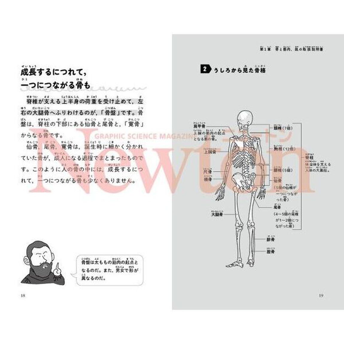 最強に面白い人体　取扱説明書編