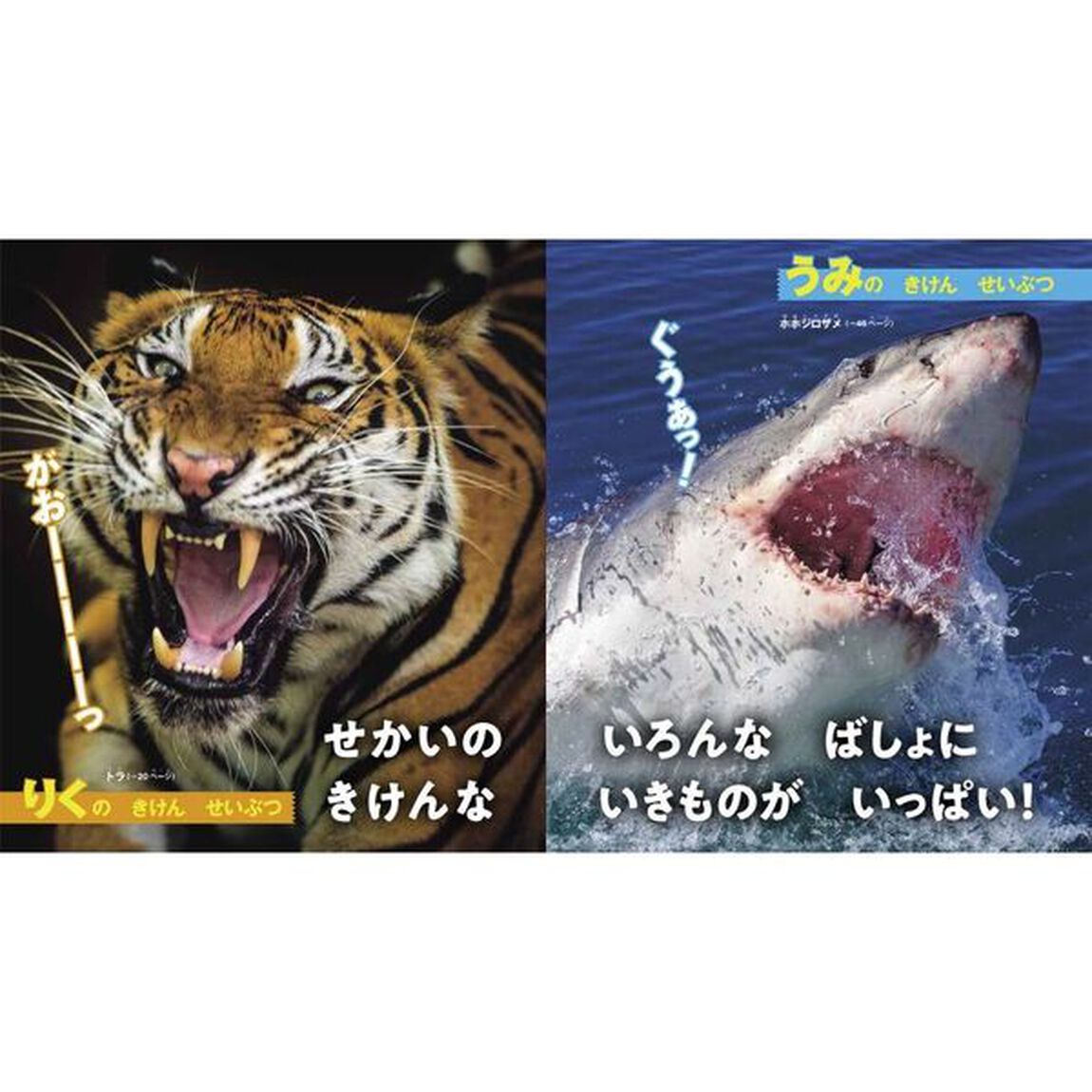 きけんせいぶつ　おおきなイラストでよくわかる！