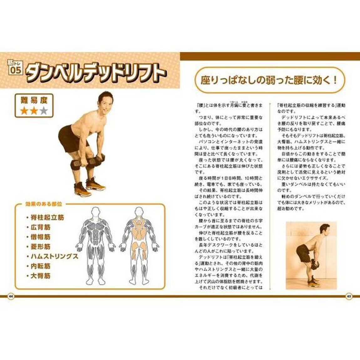 ５０代から始める正しい筋トレ