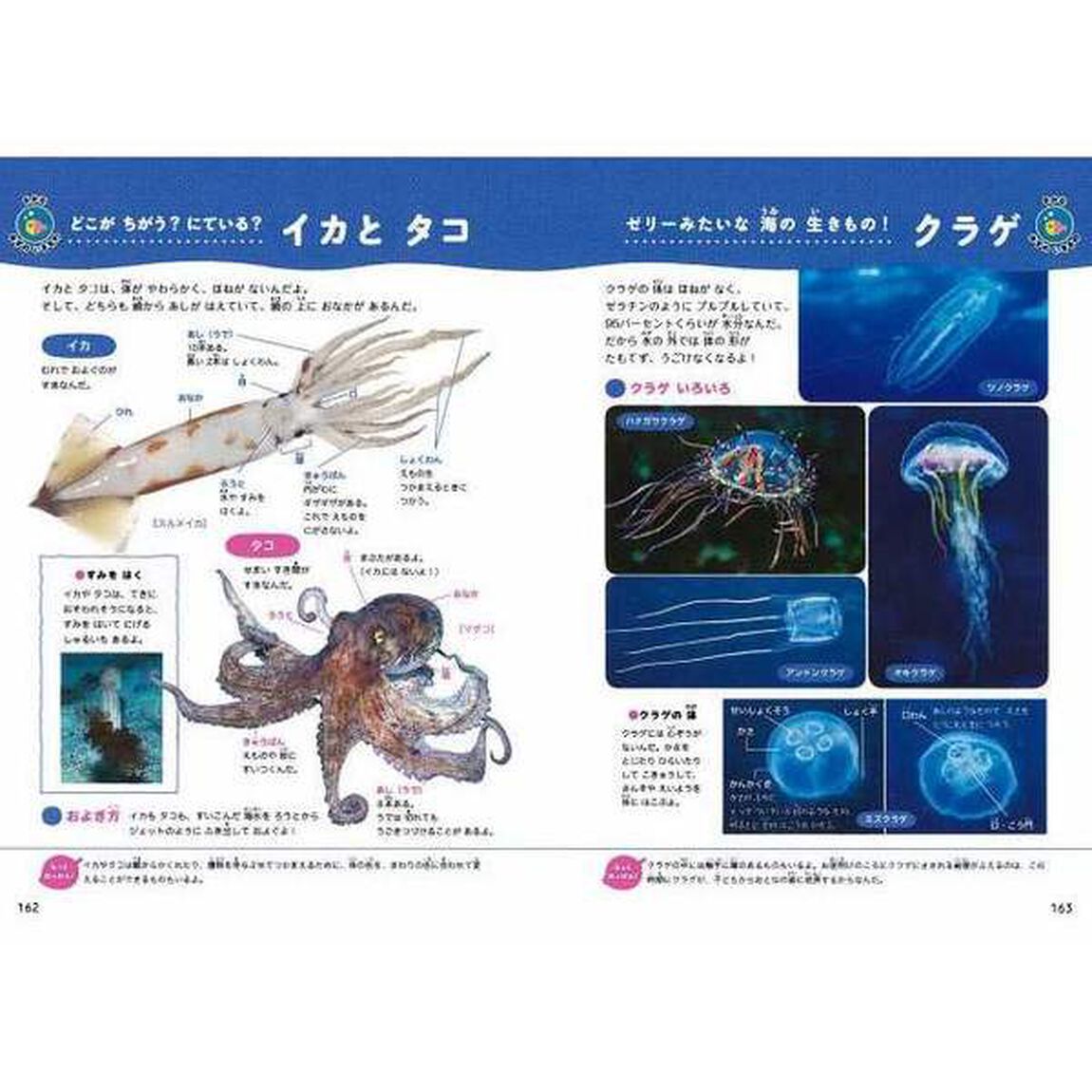 いきもののはっけん！ハンディ図鑑　しぜんとあそぼう！　知りたいがグンと高まる