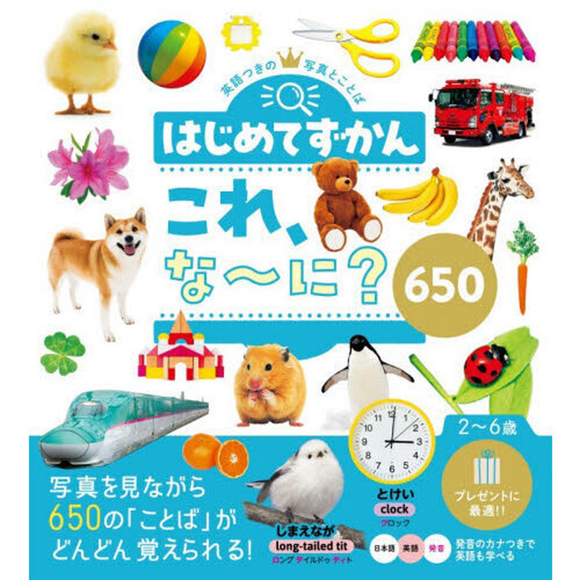 はじめてずかん これ、な〜に？650「改訂」