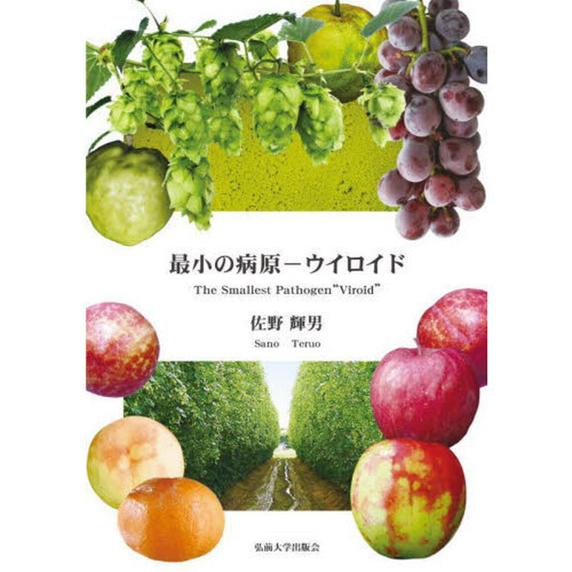 最小の病原－ウイロイド
