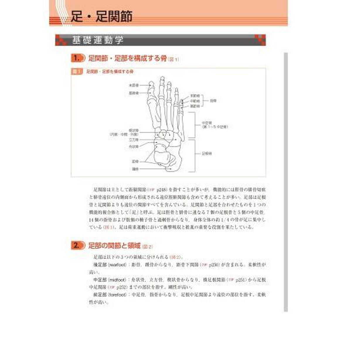 ＰＴ・ＯＴのための運動学テキスト　基礎・実習・臨床「補訂２版」