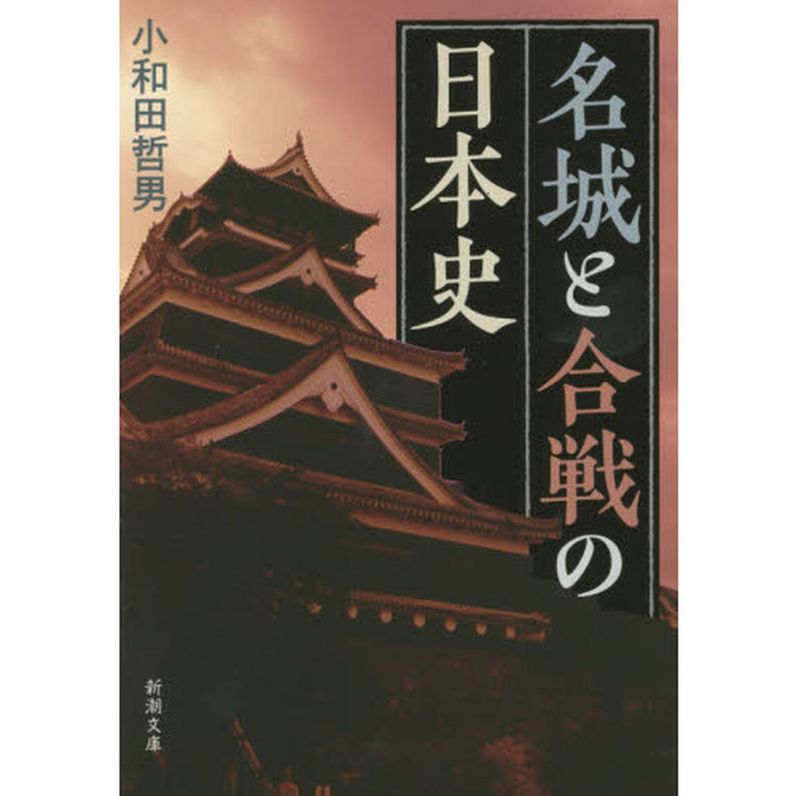 名城と合戦の日本史