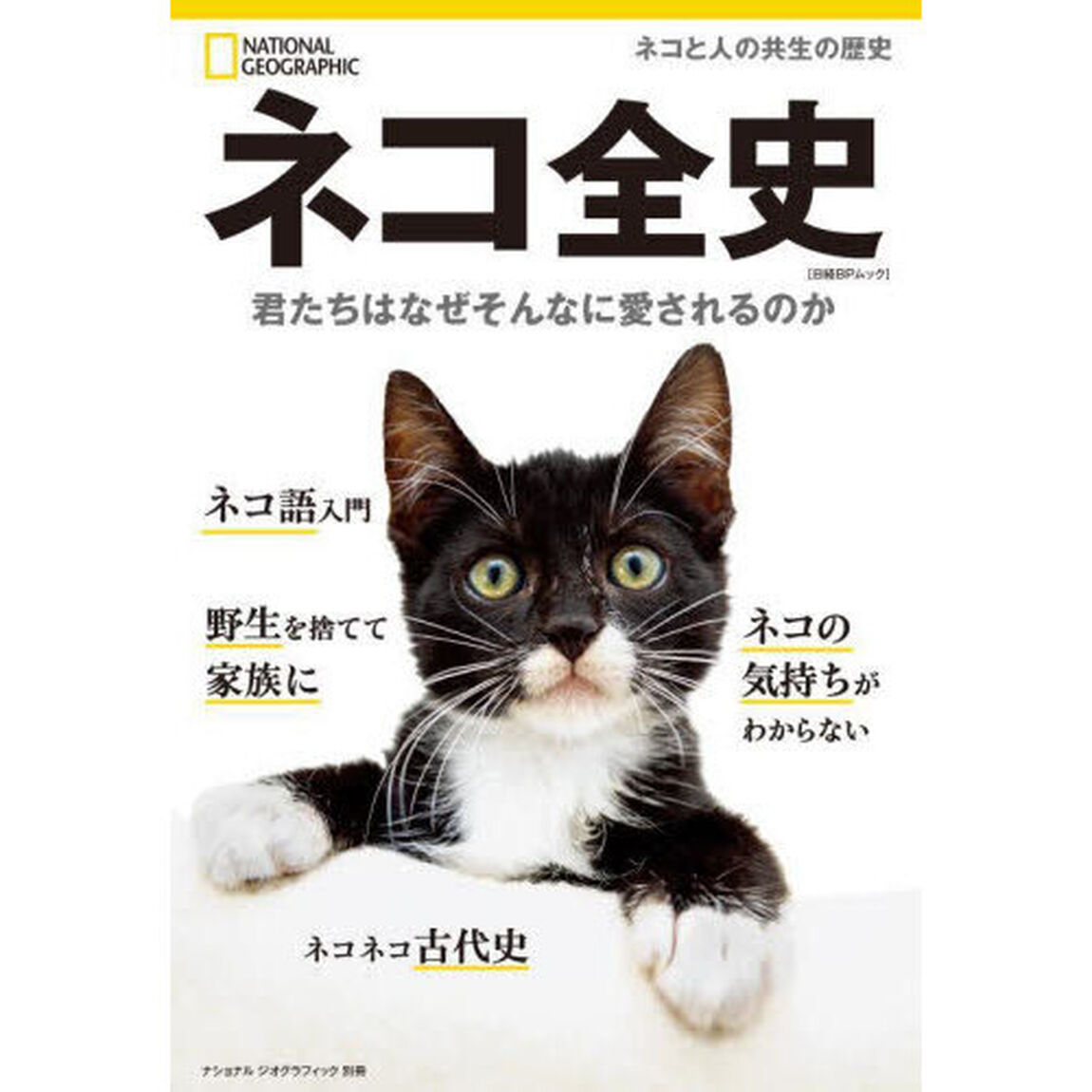 ネコ全史　君たちはなぜそんなに愛されるのか