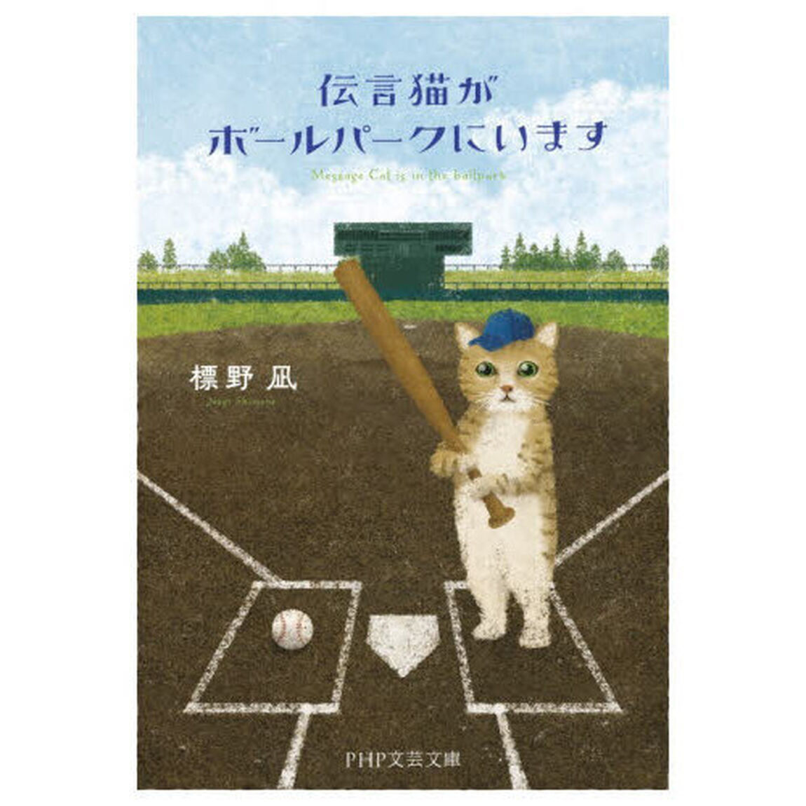 伝言猫がボールパークにいます