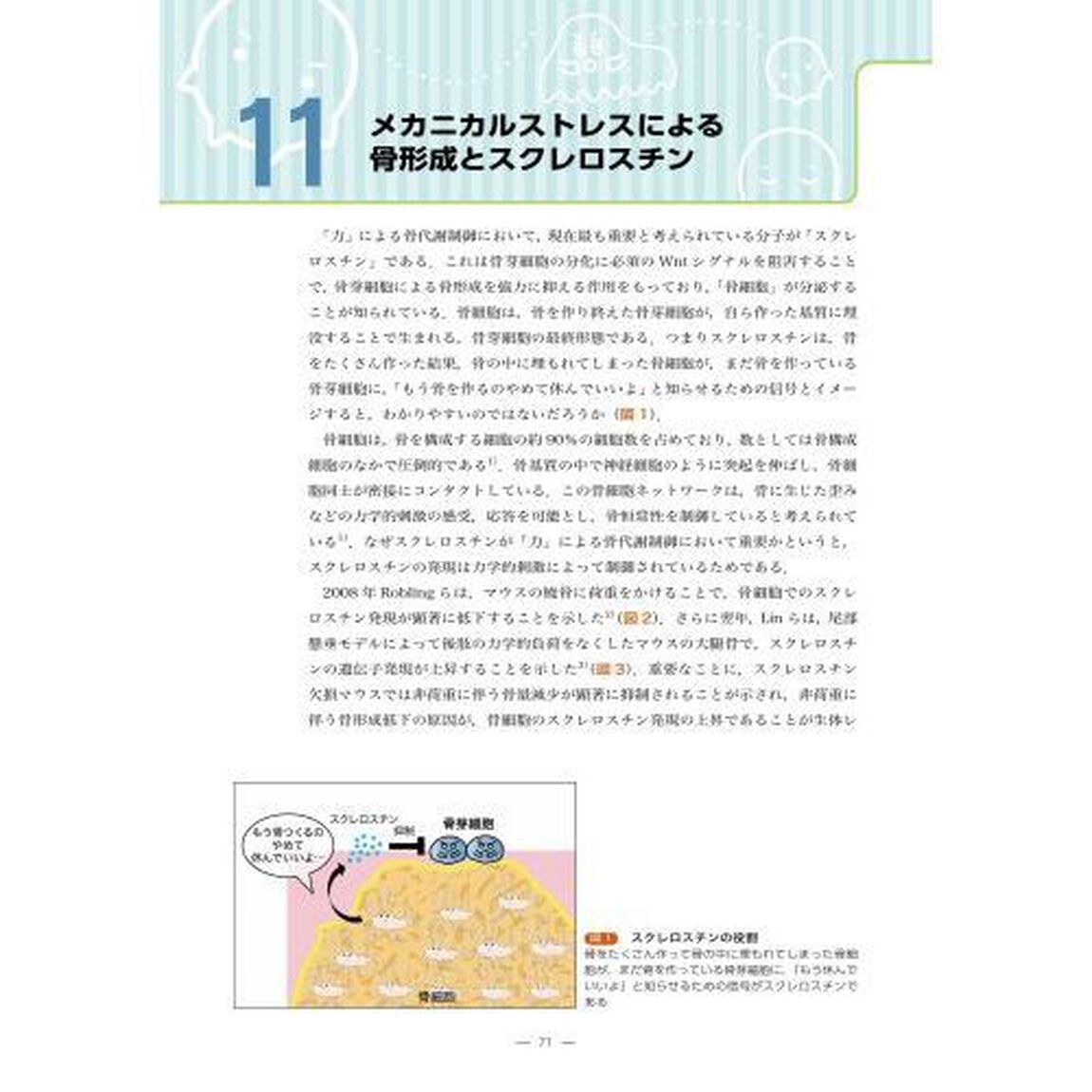 歯学生・歯科医療従事者のための骨免疫学
