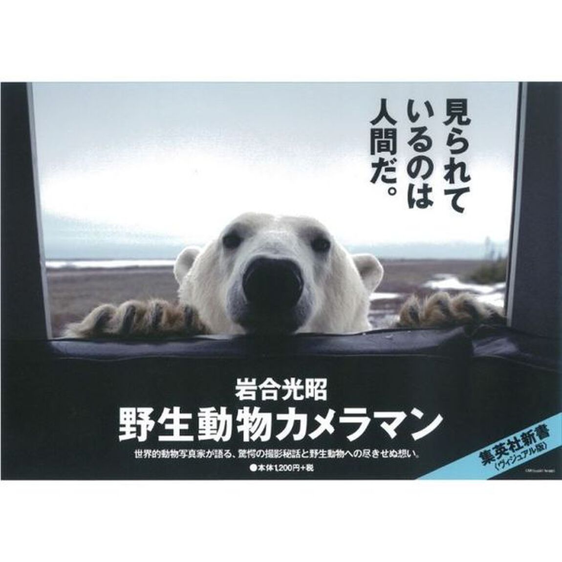 野生動物カメラマン