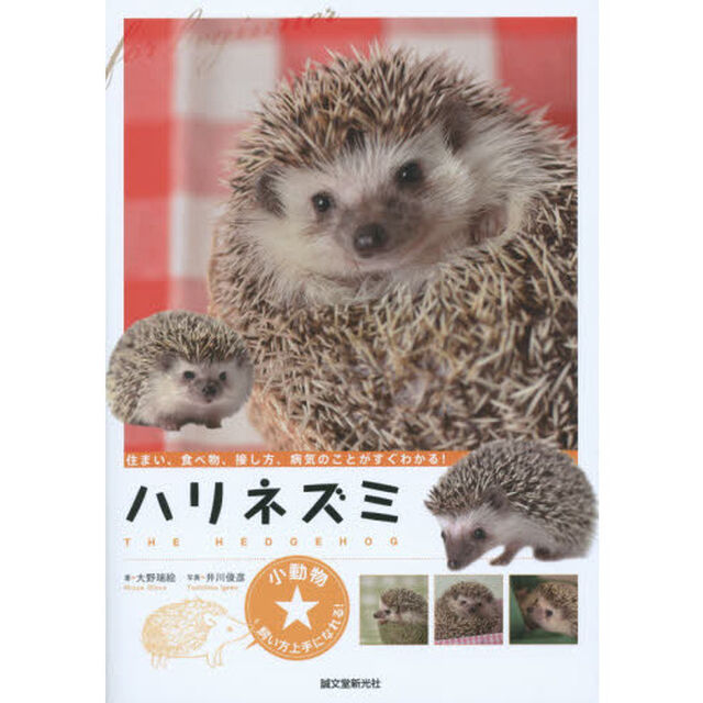 ハリネズミ　住まい、食べ物、接し方、病気のことがすぐわかる！