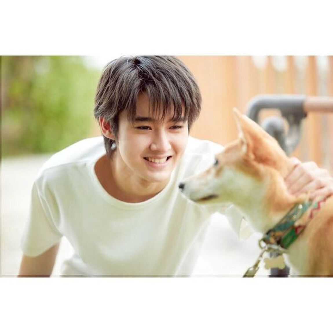 藤岡真威人 1st写真集　EXPRESSIONS【セブンネット限定 サイン本】