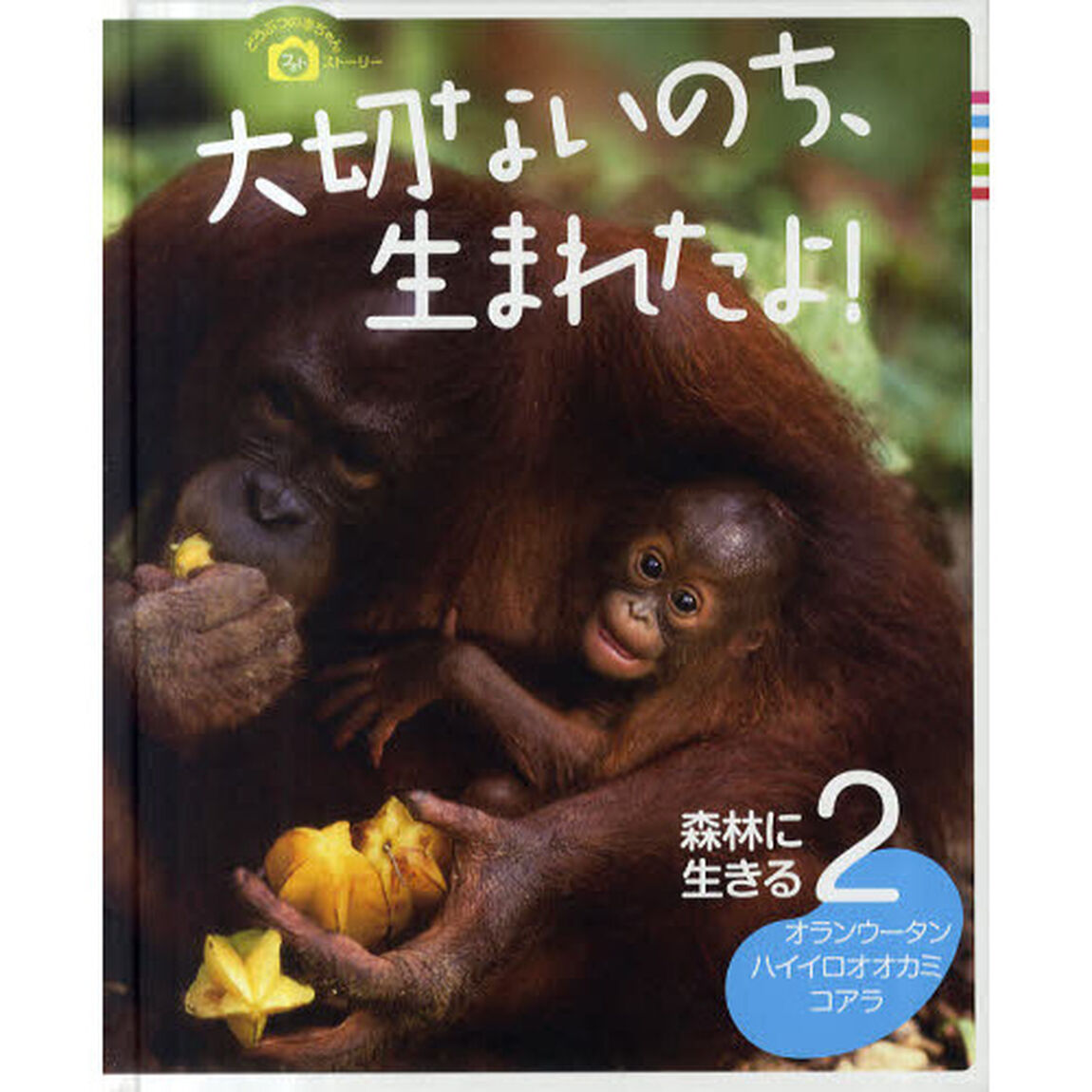 大切ないのち、生まれたよ！　どうぶつの赤ちゃんフォトストーリー　２「森林に生きる　オランウータン・ハイイロオオカミ・コアラ」