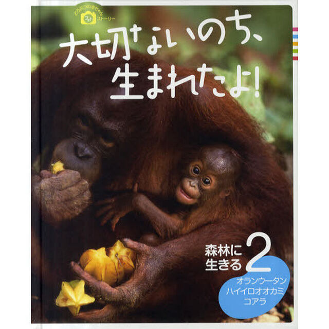 大切ないのち、生まれたよ！　どうぶつの赤ちゃんフォトストーリー　２「森林に生きる　オランウータン・ハイイロオオカミ・コアラ」
