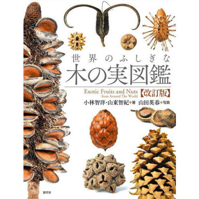 世界のふしぎな木の実図鑑「改訂版」