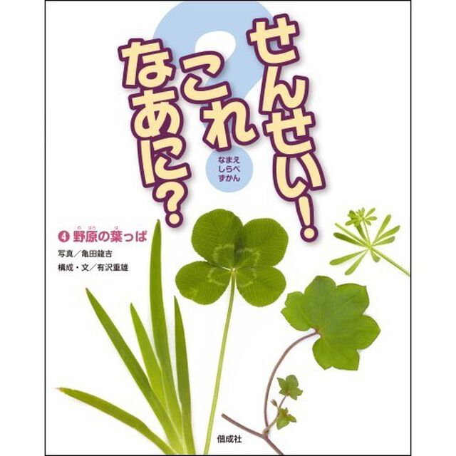 せんせい！これなあに？　なまえしらべずかん　４「野原の葉っぱ」