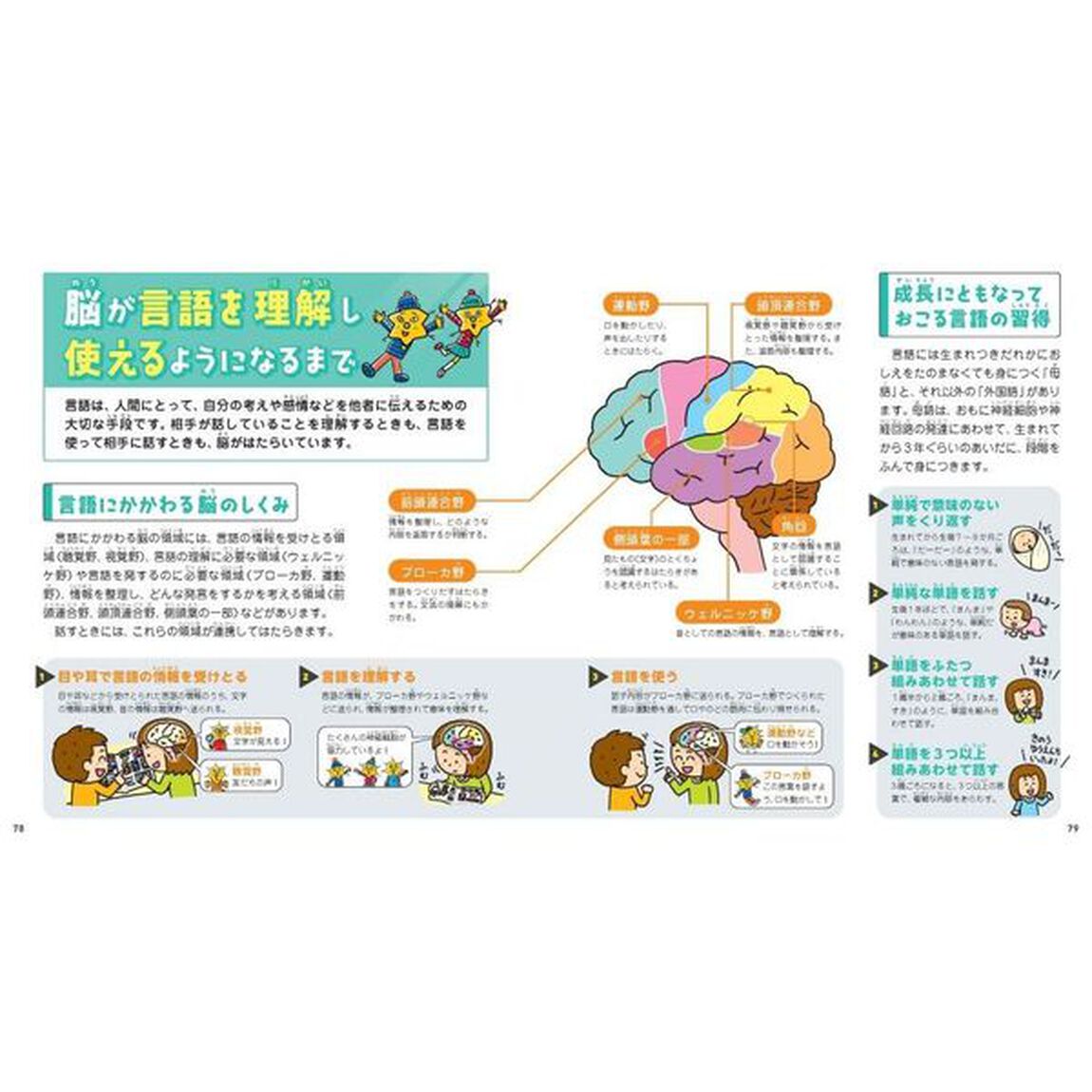 脳のふしぎをときあかす！ブレインワールド探検ブック　３「つながるこころのふしぎ」
