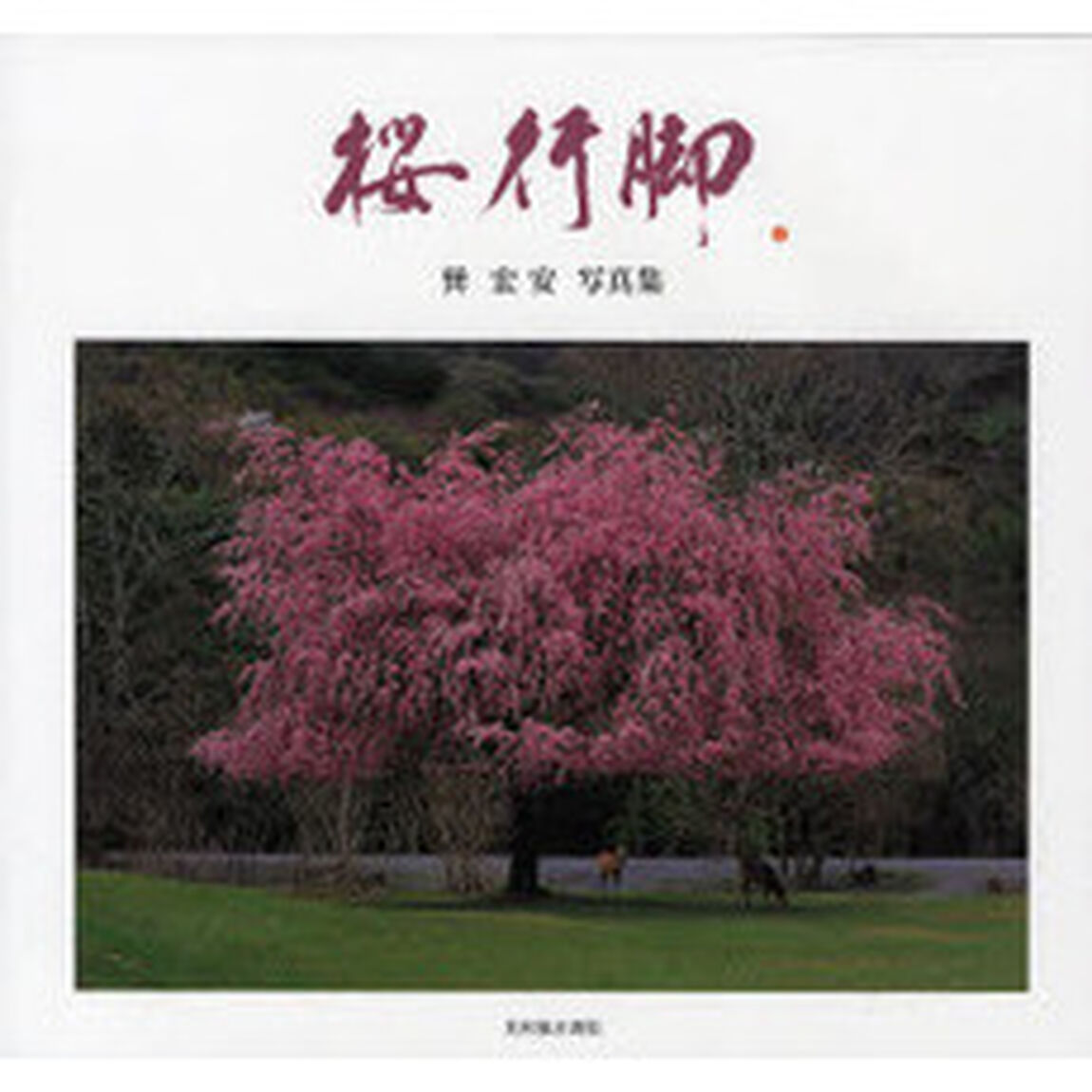 桜行脚　巽宏安写真集