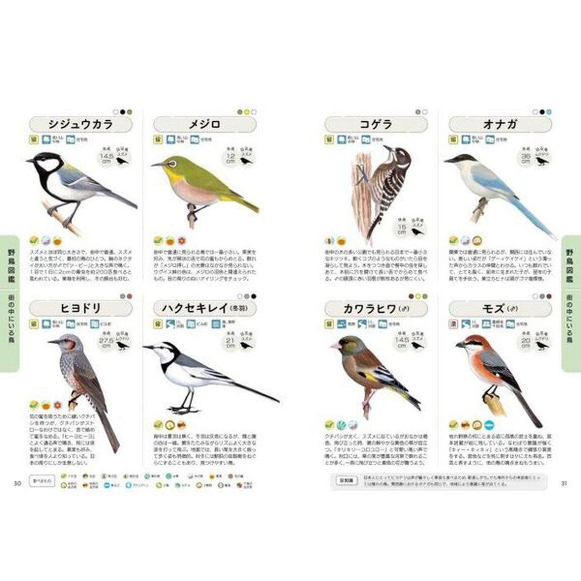 はじめての野鳥観察