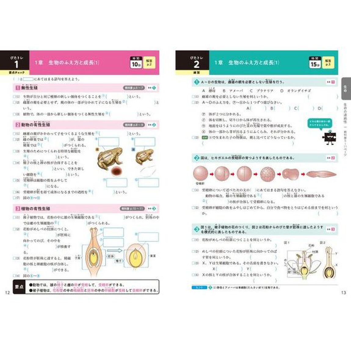 ぴったりトレーニング理科３年　全版