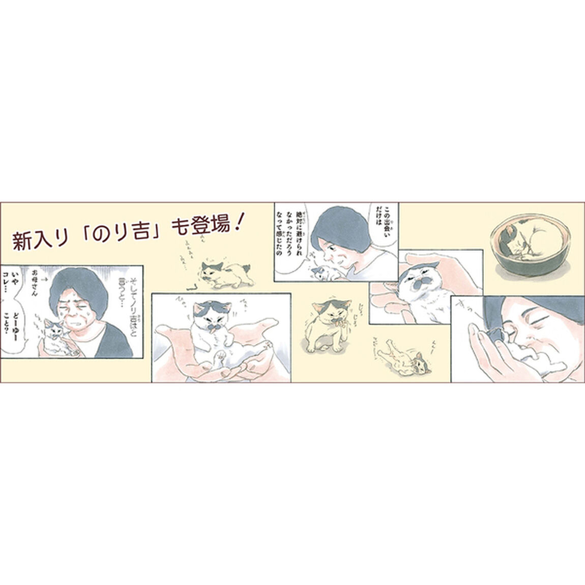 拾い猫のモチャ5 (KITORA)