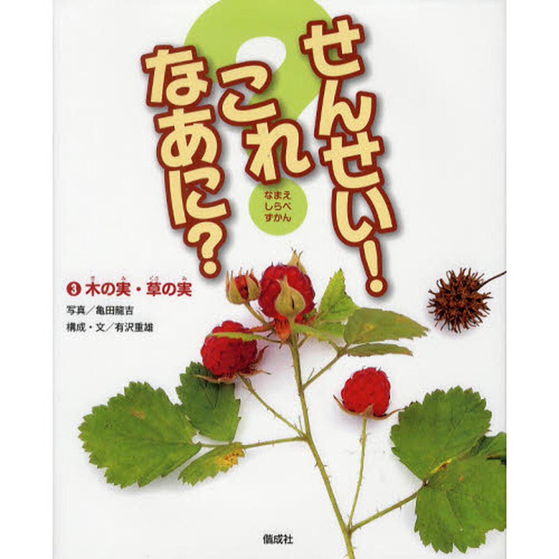 せんせい！これなあに？　なまえしらべずかん　３「木の実・草の実」