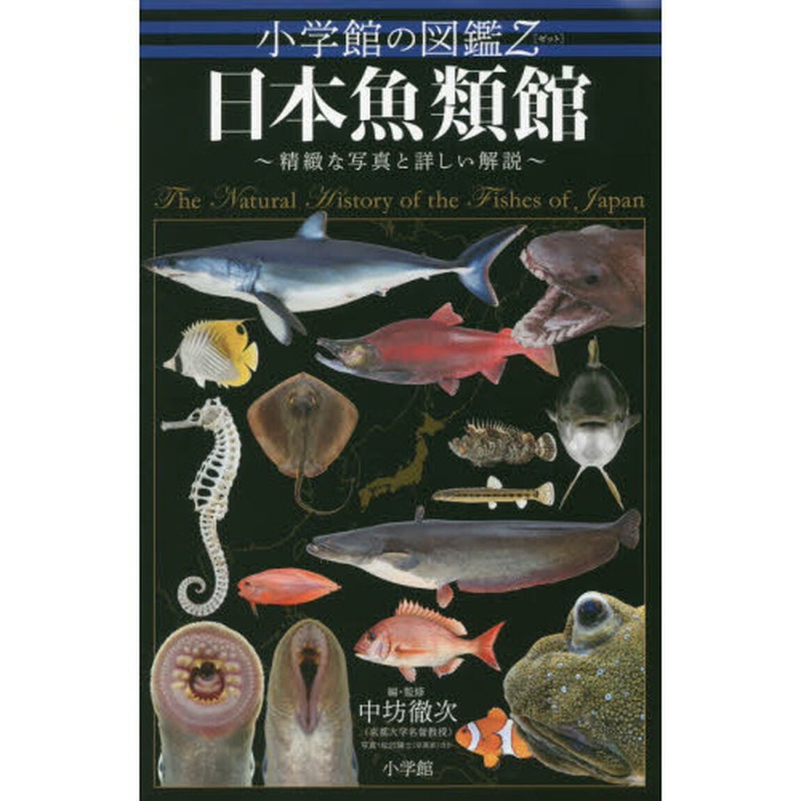 日本魚類館　精緻な写真と詳しい解説