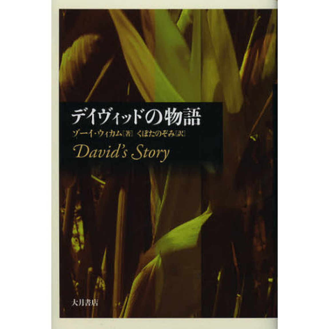デイヴィッドの物語
