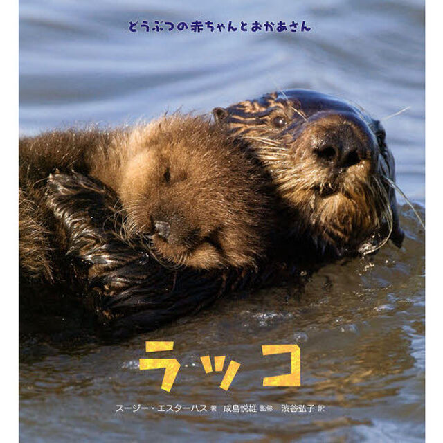 ラッコ