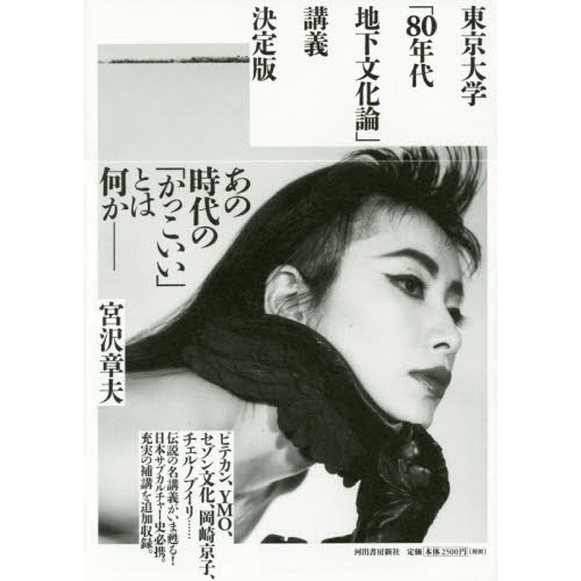東京大学「８０年代地下文化論」講義「決定版」