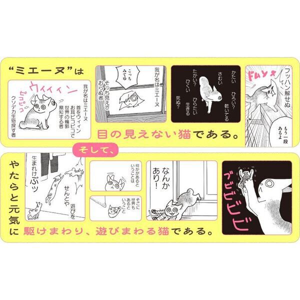 我が名はミエーヌ - 通販｜セブンネットショッピング