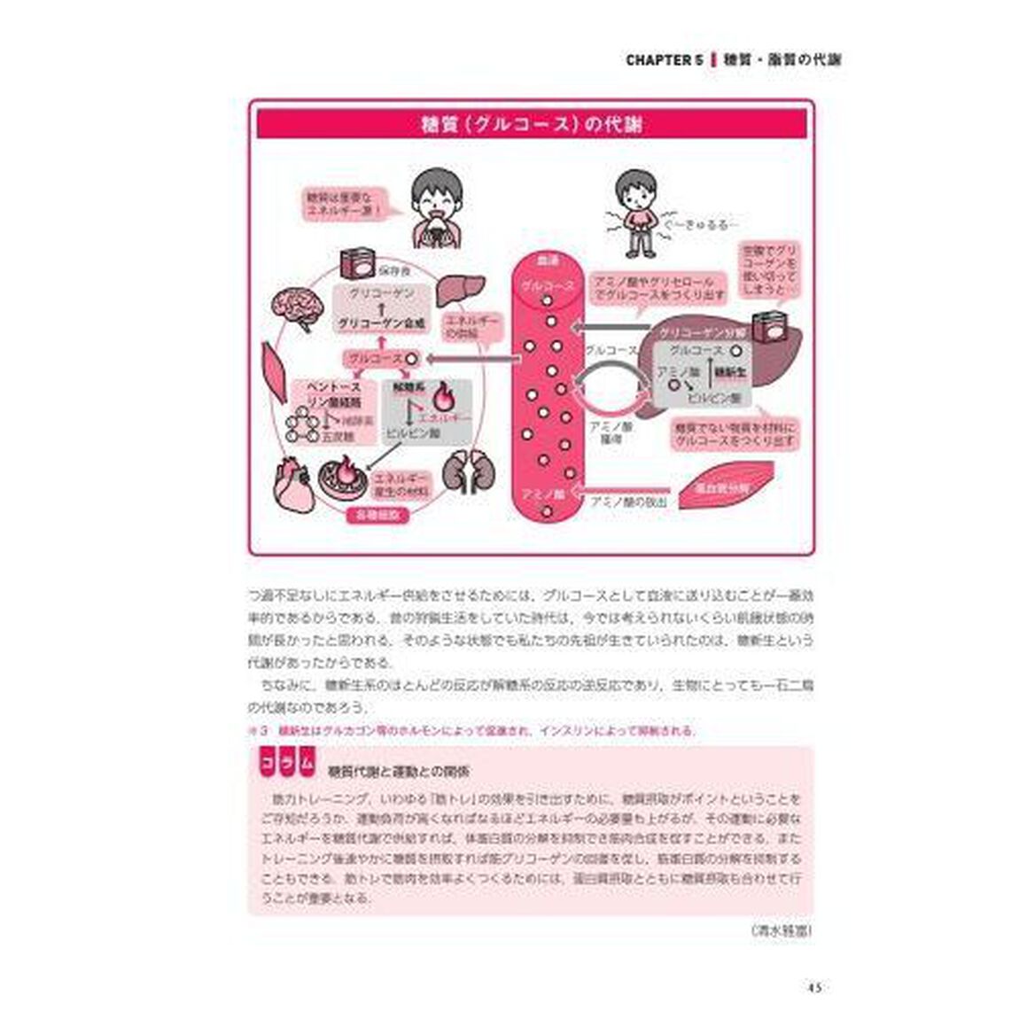 生化学・栄養学「第２版」